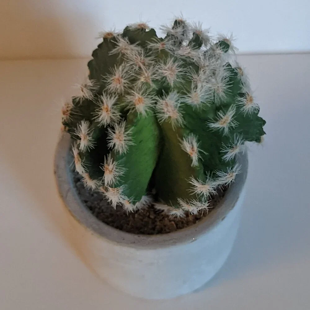NWT Ashland Faux Cactus Rustic Clay Pot Floral Succulent Summer Desert Michael's